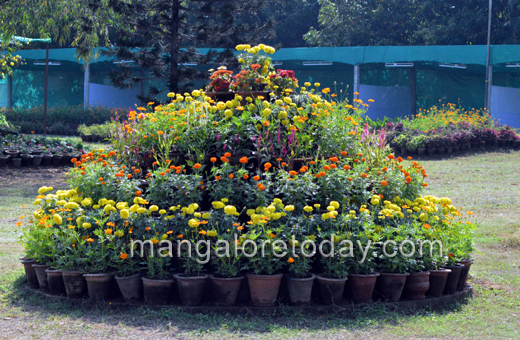 Flower show in Kadri park